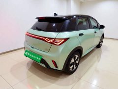 BYD Dolphin 2025 420km Freedom Edition - ფოტო 6
