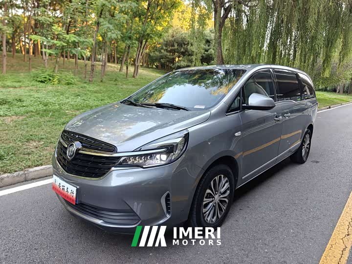 Buick GL8 Land Executive Cabin 652T Luxury - ავტომობილი ჩინეთიდან