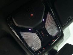 BMW 5 Series Facelift 530Li Premier M Sport Package - ფოტო 15
