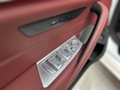 BMW 5 Series Facelift 530Li Premier M Sport Package - ფოტო 7