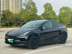 Tesla Model Y Long Range All-Wheel Drive - ფოტო 1