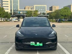 Tesla Model Y Long Range All-Wheel Drive - ფოტო 2