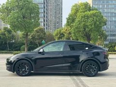 Tesla Model Y Long Range All-Wheel Drive - ფოტო 3