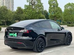 Tesla Model Y Long Range All-Wheel Drive - ფოტო 9
