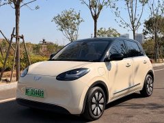 Wuling Binguo 2025 333km Joy Edition - ფოტო 1