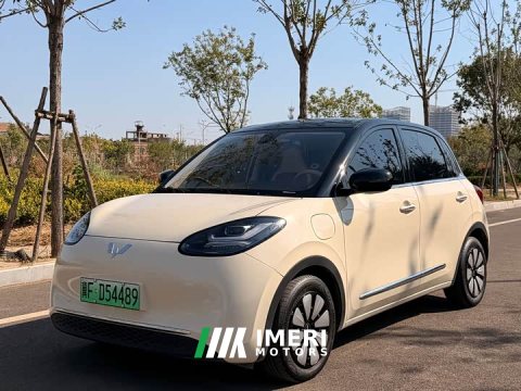 2026 Wuling Binguo 2025 333km Joy Edition - ავტომობილი ჩინეთიდან