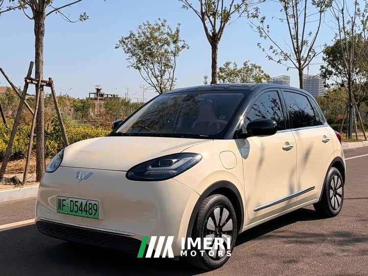 Wuling Binguo 333km Joy Edition