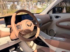 Wuling Binguo 2025 333km Joy Edition - ფოტო 10