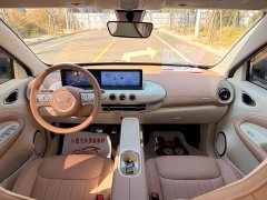 Wuling Binguo 2025 333km Joy Edition - ფოტო 13