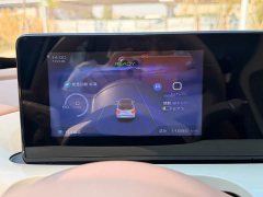 Wuling Binguo 2025 333km Joy Edition - ფოტო 16