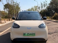 Wuling Binguo 2025 333km Joy Edition - ფოტო 2