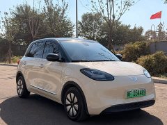 Wuling Binguo 2025 333km Joy Edition - ფოტო 3