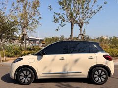 Wuling Binguo 2025 333km Joy Edition - ფოტო 8