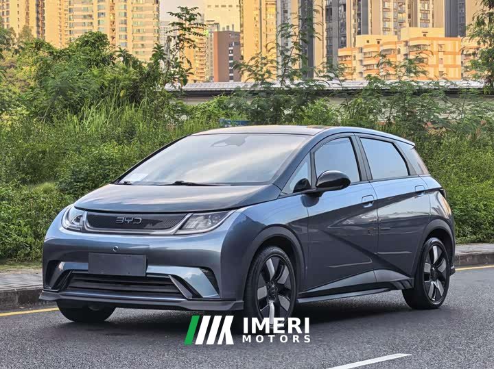 BYD Dolphin Glory Edition 401km Knight Edition