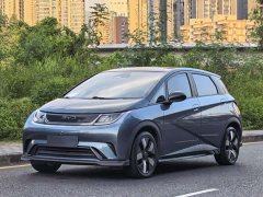 BYD Dolphin Glory Edition 401km Knight Edition - ფოტო 1
