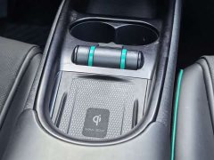 BYD Dolphin Glory Edition 401km Knight Edition - ფოტო 10