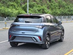 BYD Dolphin Glory Edition 401km Knight Edition - ფოტო 14