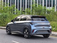 BYD Dolphin Glory Edition 401km Knight Edition - ფოტო 16