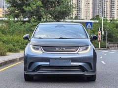 BYD Dolphin Glory Edition 401km Knight Edition - ფოტო 2