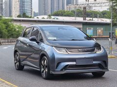 BYD Dolphin Glory Edition 401km Knight Edition - ფოტო 3