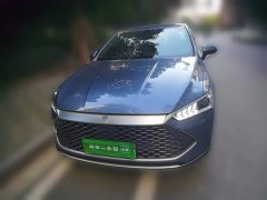 BYD Qin PLUS Glory Edition DM-i 55KM Leading - ფოტო 2