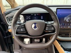 Denza BYD Denza D9 DM-i Smart Drive 1020 Four-Wheel Drive Premium - ფოტო 12