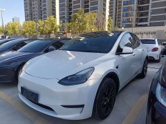 Tesla Model Y Rear-Wheel Drive - ფოტო 1