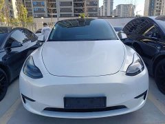 Tesla Model Y Rear-Wheel Drive - ფოტო 2