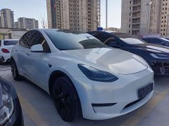 Tesla Model Y Rear-Wheel Drive - ფოტო 3