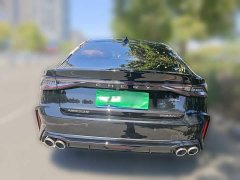 Chery Arrizo 8 2024 High-Performance Edition 2.0T DCT - ფოტო 3