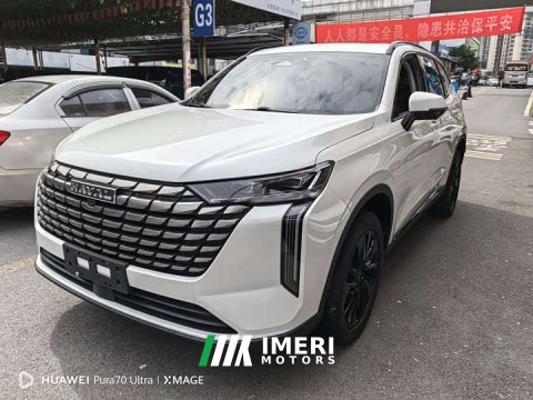 2024 Haval H6 2.0T Two-Wheel Drive Max - ავტომობილი ჩინეთიდან
