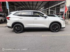 Haval H6 2.0T Two-Wheel Drive Max - ფოტო 7