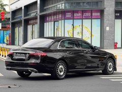 Mercedes-Benz E-Class E 300 L Luxury - ფოტო 9