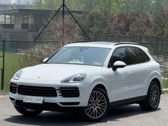 Porsche Cayenne 3.0T Platinum Edition - ფოტო 1