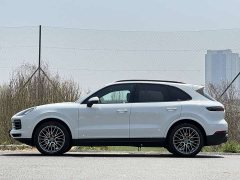Porsche Cayenne 3.0T Platinum Edition - ფოტო 12