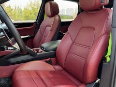 Porsche Cayenne 3.0T Platinum Edition - ფოტო 15