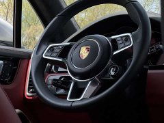 Porsche Cayenne 3.0T Platinum Edition - ფოტო 19