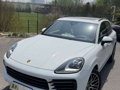 Porsche Cayenne 3.0T Platinum Edition - ფოტო 8