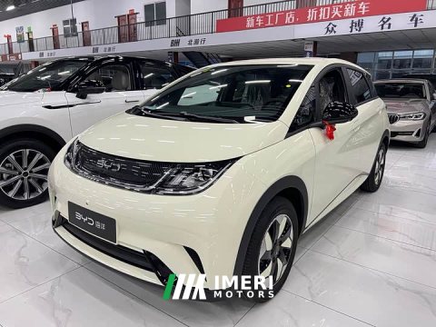 2026 BYD Dolphin 420km Freedom Edition - ავტომობილი ჩინეთიდან