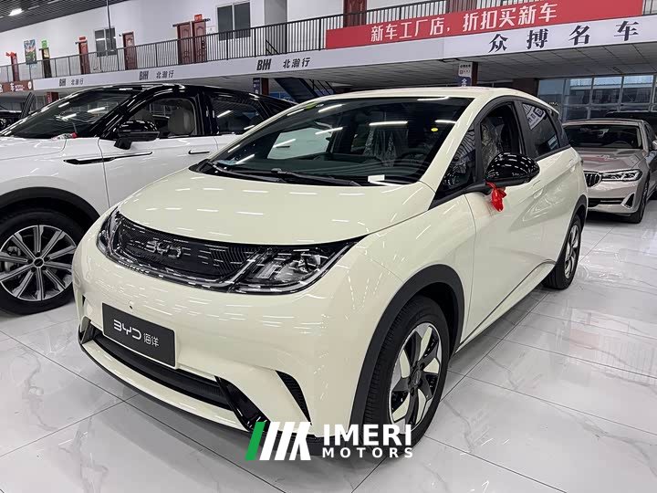 BYD Dolphin 420km Freedom Edition