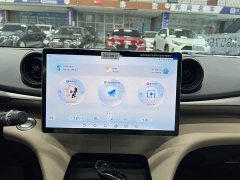BYD Dolphin 2025 420km Freedom Edition - ფოტო 10