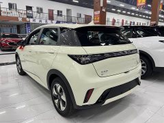 BYD Dolphin 2025 420km Freedom Edition - ფოტო 3