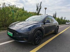 Tesla Model Y Rear-Wheel Drive - ფოტო 1