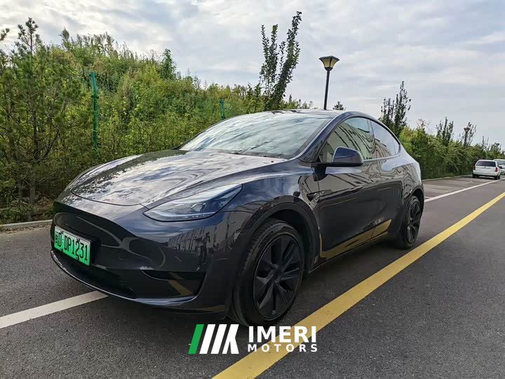 Tesla Model Y Rear-Wheel Drive