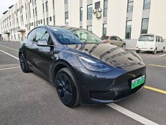 Tesla Model Y Rear-Wheel Drive - ფოტო 3