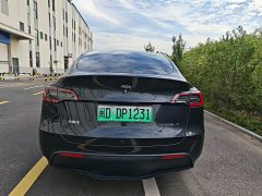 Tesla Model Y Rear-Wheel Drive - ფოტო 5
