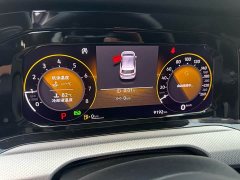 Volkswagen Golf 2024 280TSI DSG Pro 50th Anniversary Legend Edition - ფოტო 5