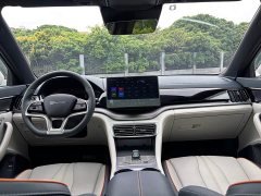 BYD Song Plus New Energy Glory Edition DM-i 110km Flagship Plus - ფოტო 19