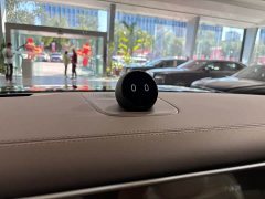 NIO ES9 102kWh Horizon Mid-Island Special Edition - ფოტო 9