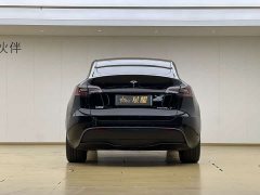 Tesla Model Y Rear-Wheel Drive - ფოტო 19
